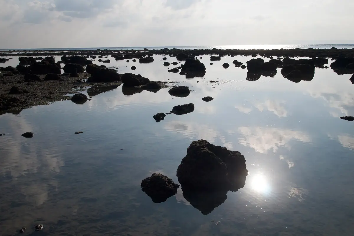 Rocky beach at low tide with sun reflected in the pools