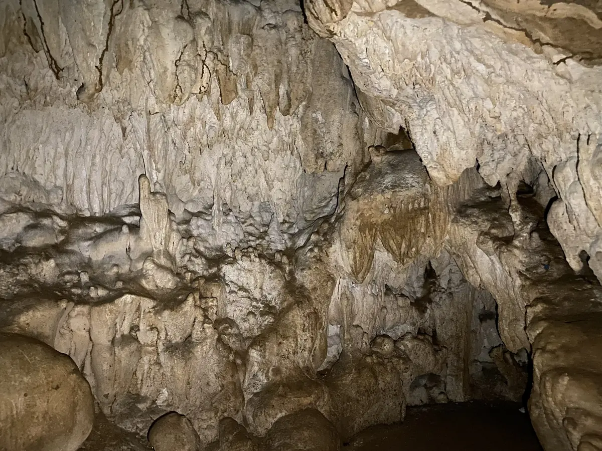 Flowstone formations on the wall of a limestone cave at Baratang