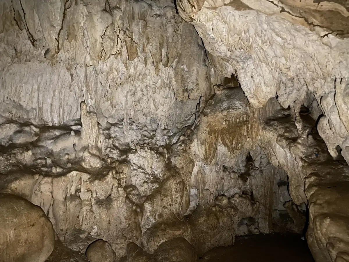 Formations de calcite sur la paroi d’une grotte calcaire à Baratang