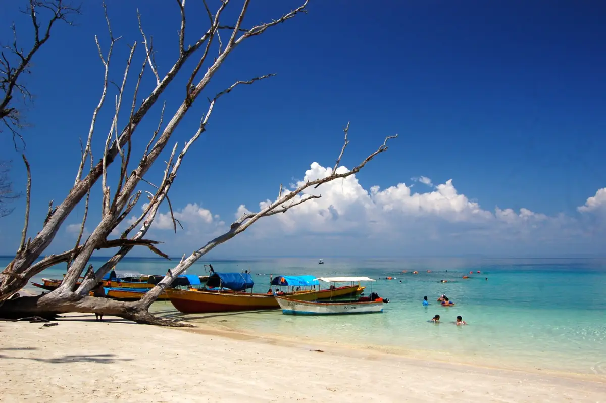 Colourful boats and driftwood on Elephant Beach, Havelock Island