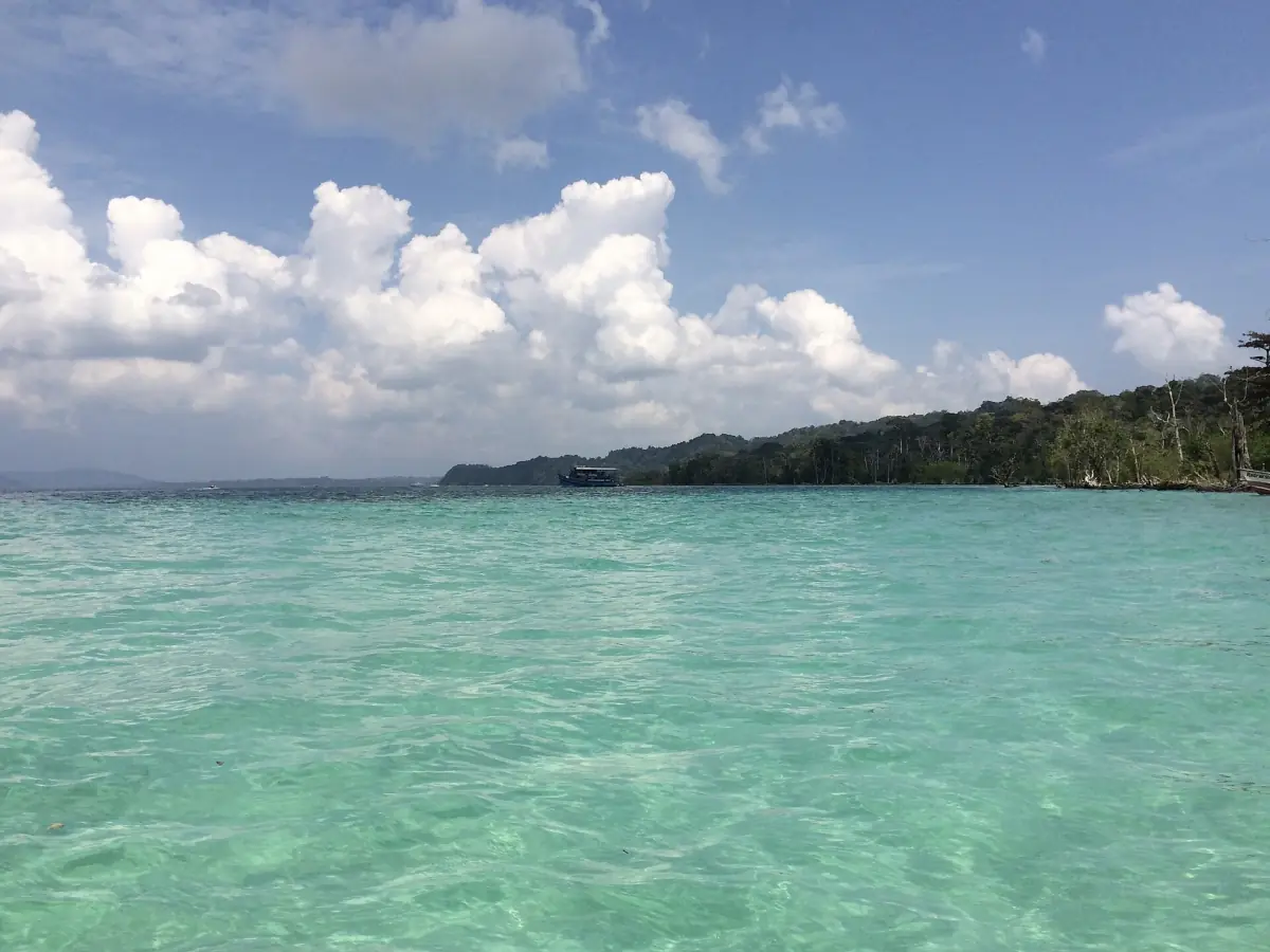 Clear turquoise shallows and wooded shore at Elephant Beach
