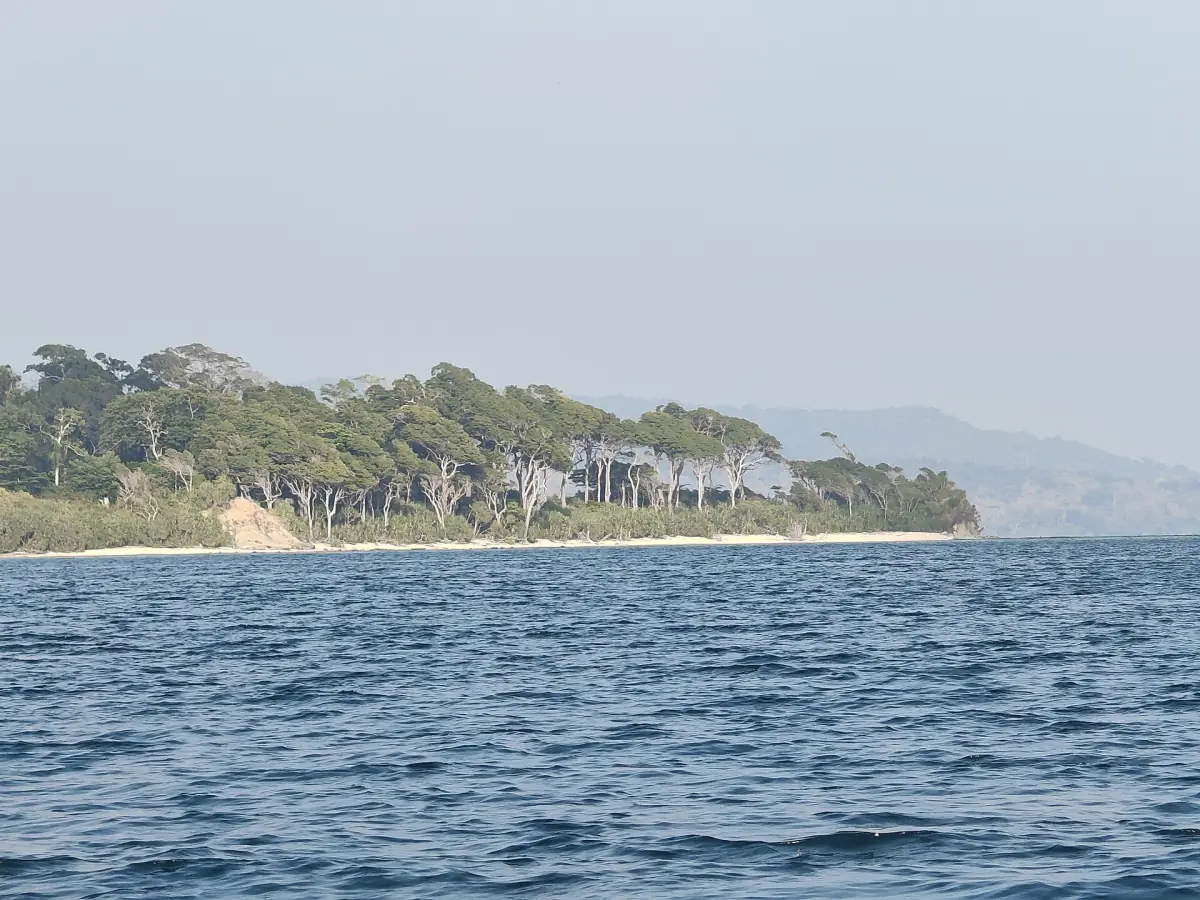 Wooded island with a pale beach in the Mahatma Gandhi Marine National Park