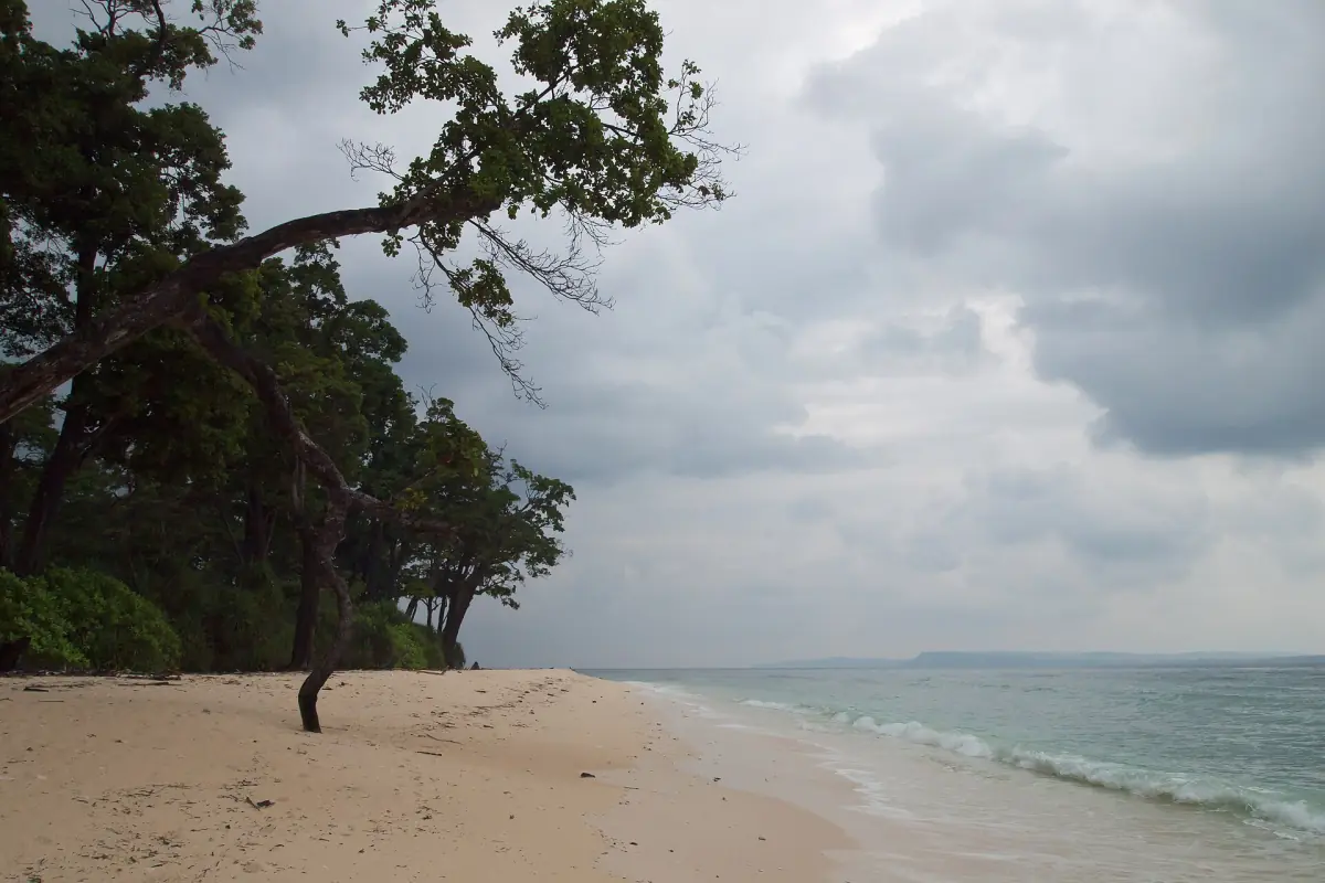 Quiet Laxmanpur Beach with trees leaning over the sand on Neil Island