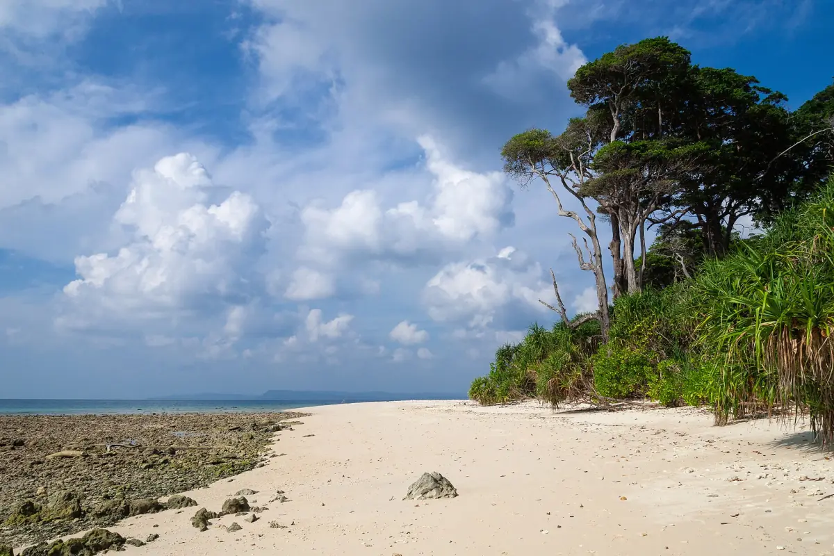 Plage tropicale bordée d’arbres surplombants sur l’île Neil
