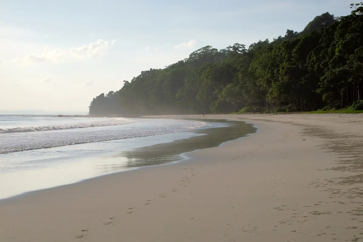 Long empty stretch of Radhanagar Beach in soft light before sunset