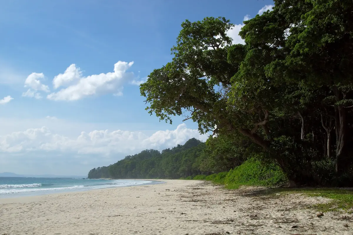 Radhanagar Beach with turquoise water and dense forest along the shore