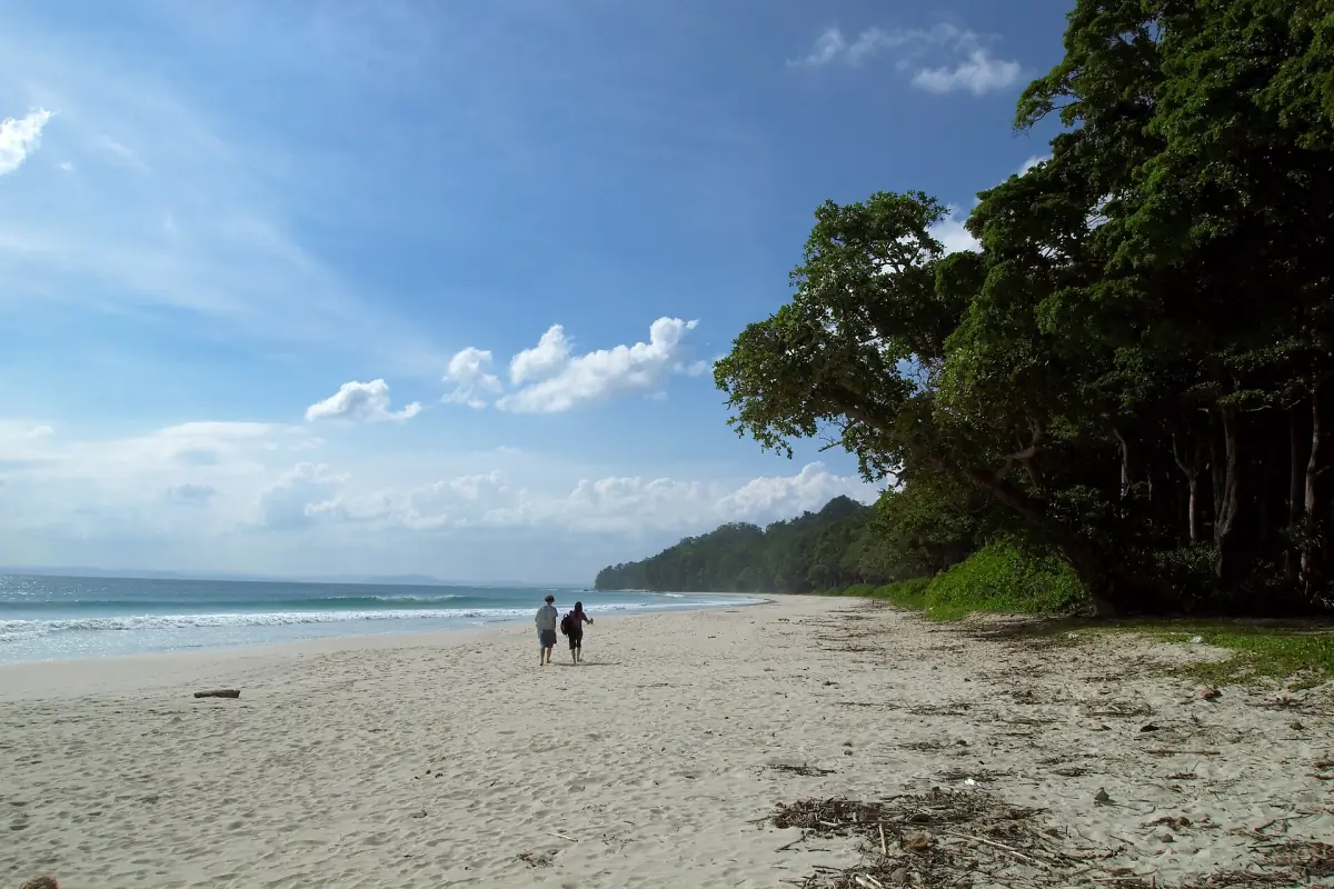 White sand at Radhanagar Beach on Havelock under a blue sky with forested headland